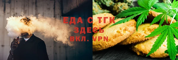 индика Покачи