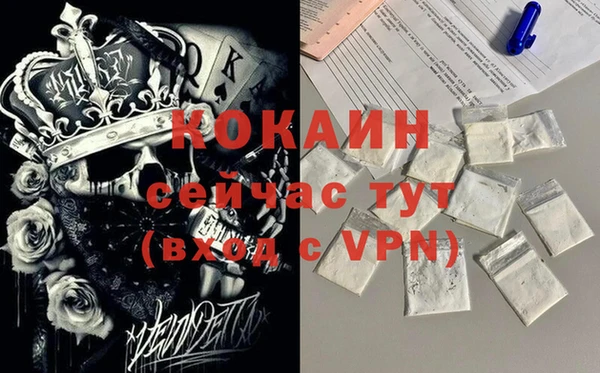 индика Покачи