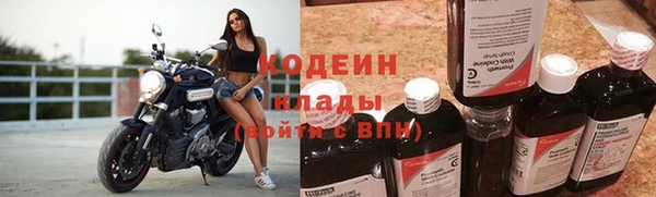 индика Покачи
