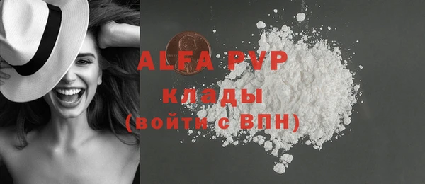 индика Покачи