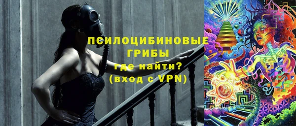 герыч Пестово
