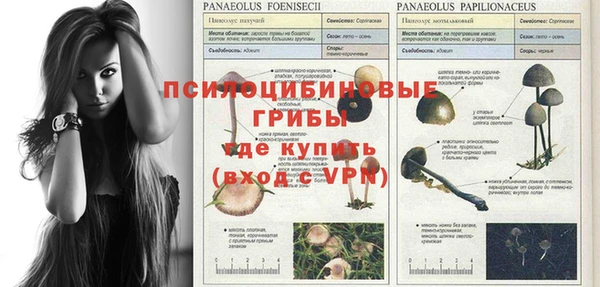 гидра Дедовск