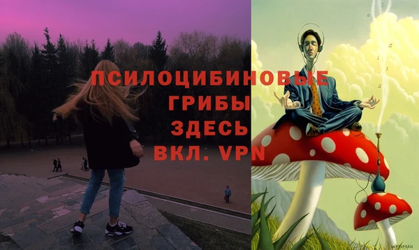 марки lsd Гусь-Хрустальный