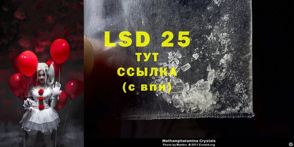 индика Покачи