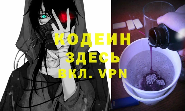 индика Покачи