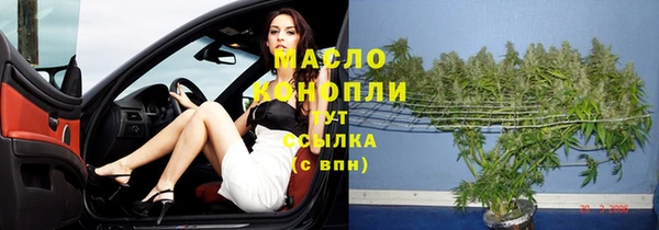 индика Покачи