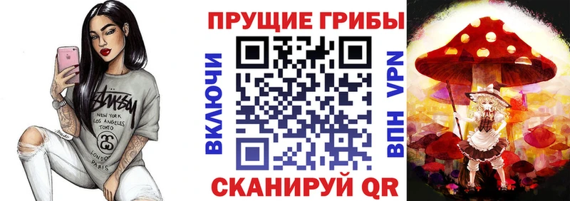 Галлюциногенные грибы Psilocybe  где купить наркотик  Бодайбо 